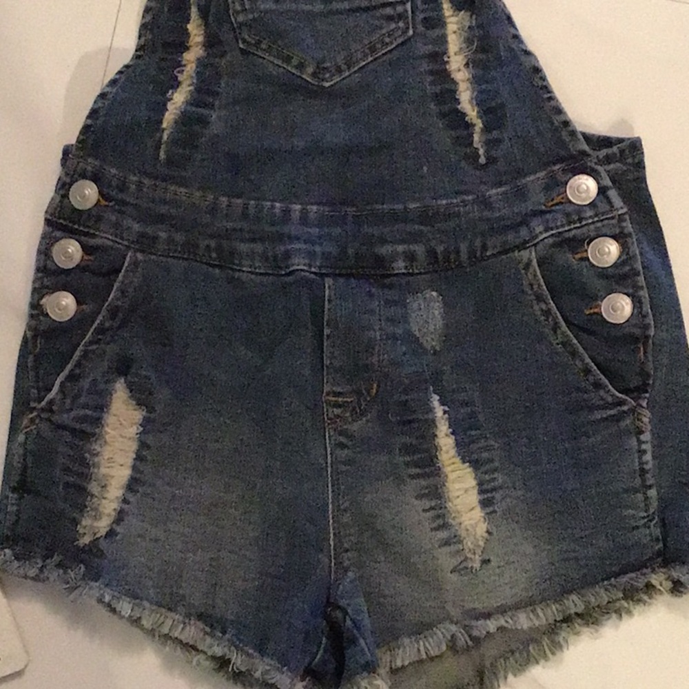 Hudson overalls - Picture 3 of 5